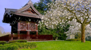 japanese garden at kew